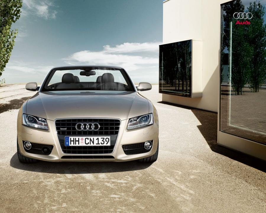  Audi A5 Cabriolet 3.0 TDI 2009 года  (фото 16 из 72)